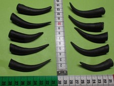 Antilopenspitzen    Hirschhorn