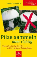 Pilze sammeln aber richtig