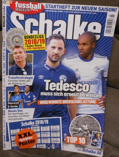 Schalke fan fußball - fc,