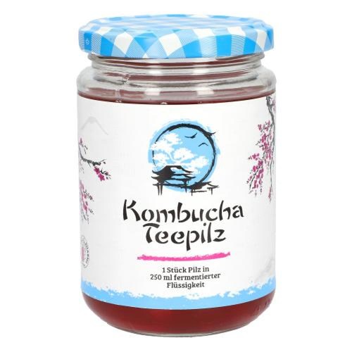 Kombucha teepilz st - kombucha, 1
