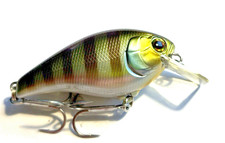 Illex / Jackall Aska 60 SR