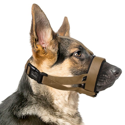 Maulkorb für hund mit - für,