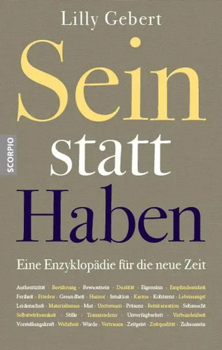 Sein statt haben eine - sein,