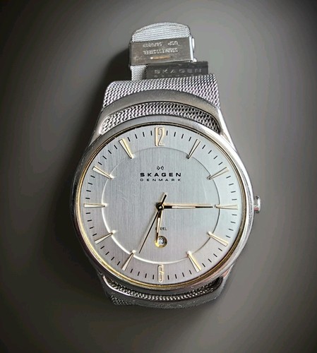 Skagen herrenuhr 597lgsc uhr - herrenuhr,