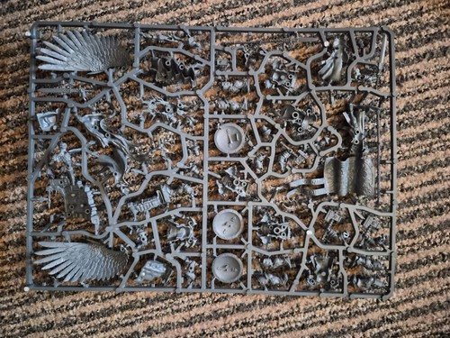 Warhammer age sigm - age, yndrasta