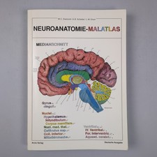 Neuroanatomie-Malatlas  von