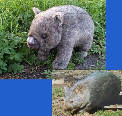 Wombat stofftier little - , "