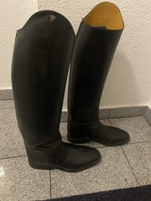Reitstiefel Dressur von Petrie