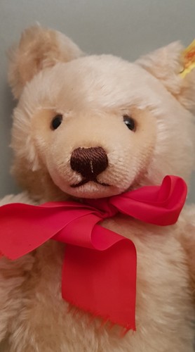 Steiff teddy mit - steiff-teddy, im