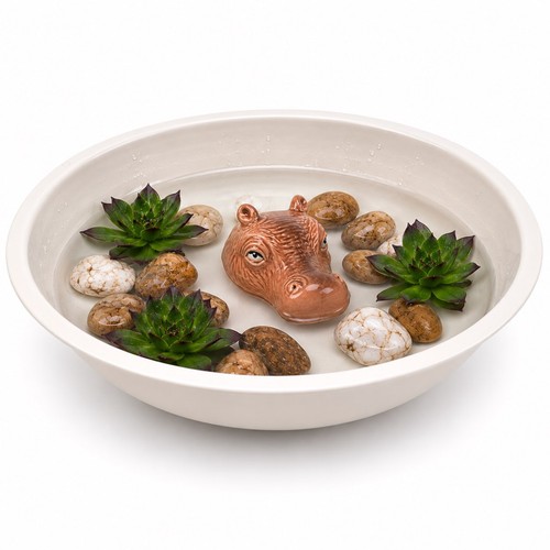 Mini teich schale mit - teich,