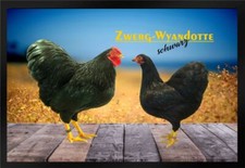 Fußmatte Schmutzfangmatte Hühner Zwerg Wyandotte schwarz F1253