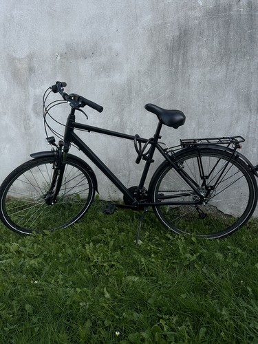 Fahrrad:Herren-Trekkingrad