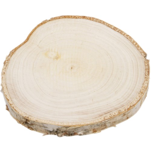 Holzscheibe baumscheibe 15 - baumscheibe,