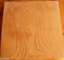 Esche Nr 55 Body  1teilig