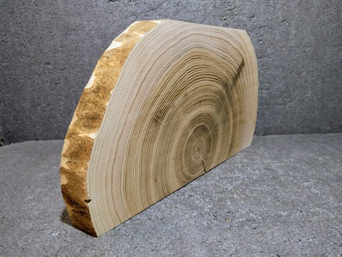 Groß,Holzplatte,Holzscheibe,B