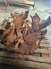 Eibenwurzel Eibe Wurzelholz