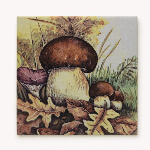 Dekofliese bildfliese - dekofliese,
