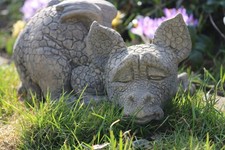 Drachen Drache schlummernd