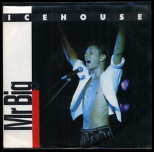 Vinyl-Single★ICEHOUSE★MR