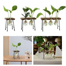 Glasvase, hydroponische