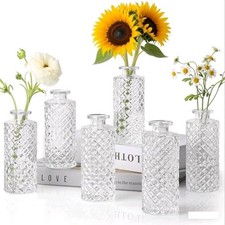 12er set glasvasen - 6/12er,