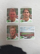 VFL Wolfsburg Panini