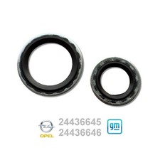 Dichtring für opel - dichtring,