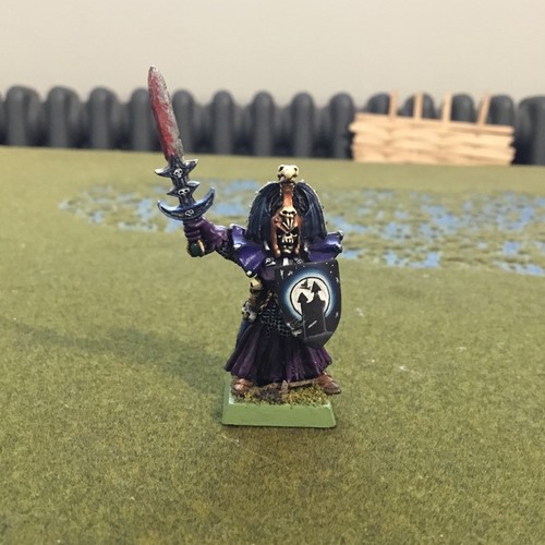 Undead champion wight wraith - undead,