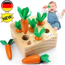 Karottenernte Holzspielzeug ab