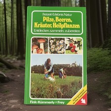 Pilze beeren kräuter - pilze,
