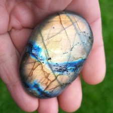 Landscape Multicolor