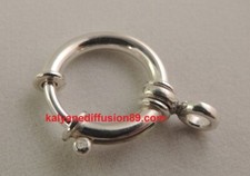 Verschluss Silber Ring Feder