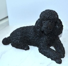 liegender, schwarzer Pudel