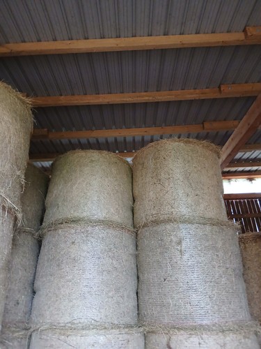 Bio heu silage ballen - +silage,