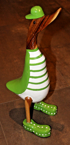 Strandente ente mit - strandente, cap
