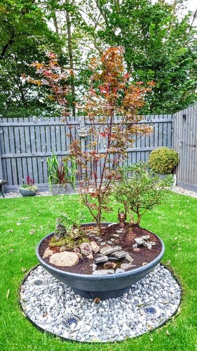 Prestige brunnenschale - |,