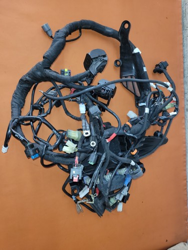 Ktm duke 790 kabelbaum - ktm, (
