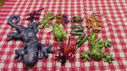 Sandtiere konvolut frosch - konvolut, 11
