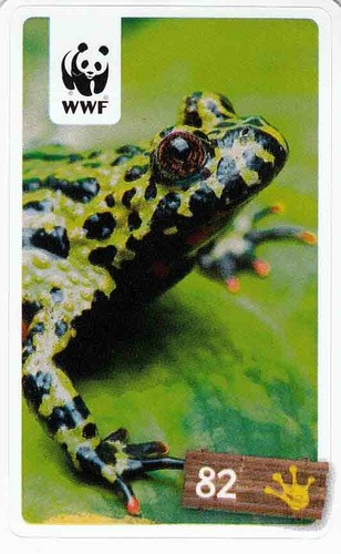 Rewe wwf tier abenteuer - wwf,