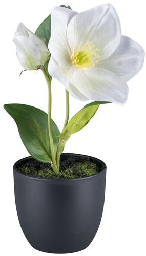 Kunstblume christrose - kunstblume,