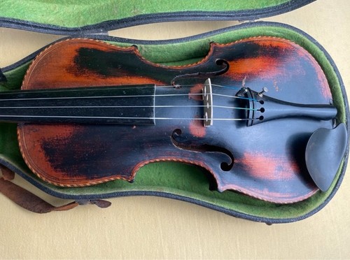 Alte löwenkopf violine - alte,