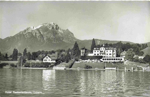 Luzern hotel kastanienbaum - hotel,