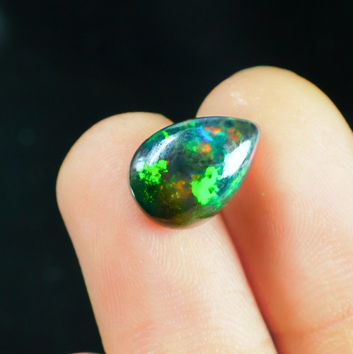 Birne schwarz opal - 3,65,