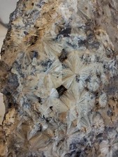 MEGA SELTEN XL Wavellit Mineralien MineralSteine Schneibstein 520g