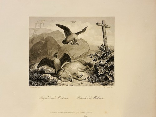 Reineke fuchs rabe stahlstich - fuchs,