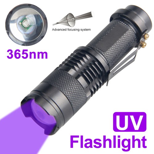 Taschenlampe schwarzlicht - uv,
