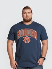 Auburn Tigers College Football