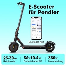 Faltbarer 350W Scooter 8.5"