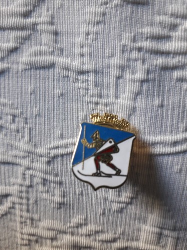 Anstecknadel skilanglauf - anstecknadel,