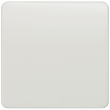 Siemens Schalterprogramm 1fach    Weiß 5TG7801 1 St.